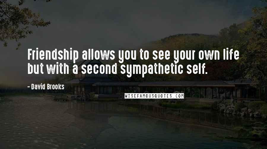 David Brooks Quotes: Friendship allows you to see your own life but with a second sympathetic self.