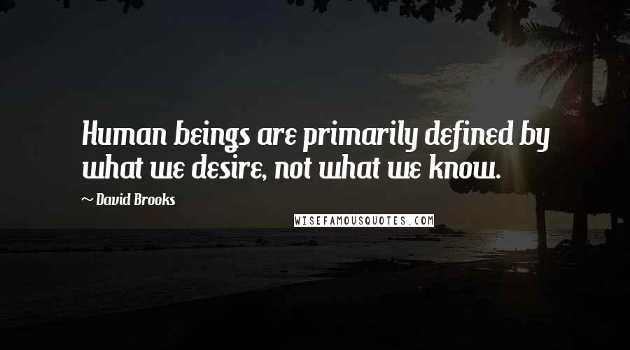 David Brooks Quotes: Human beings are primarily defined by what we desire, not what we know.