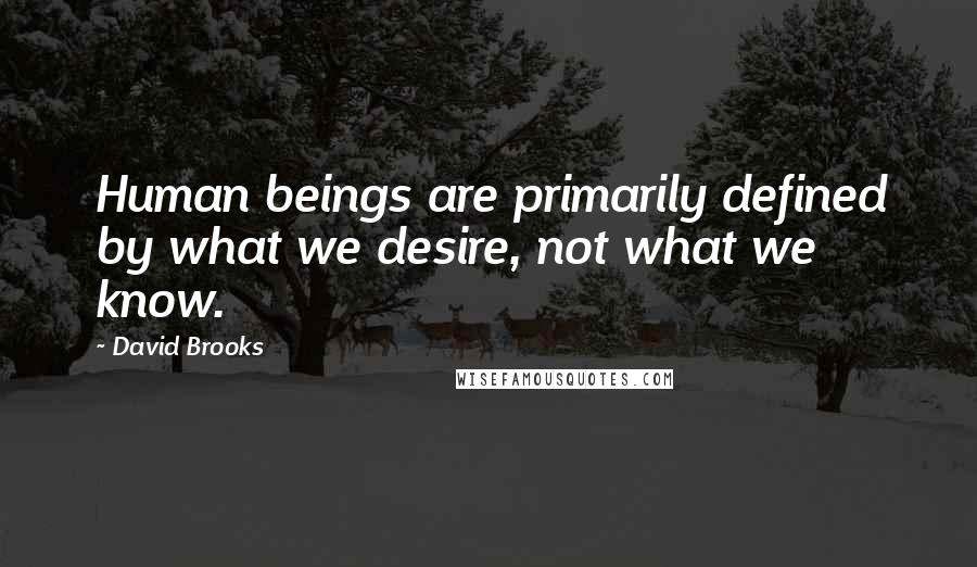 David Brooks Quotes: Human beings are primarily defined by what we desire, not what we know.