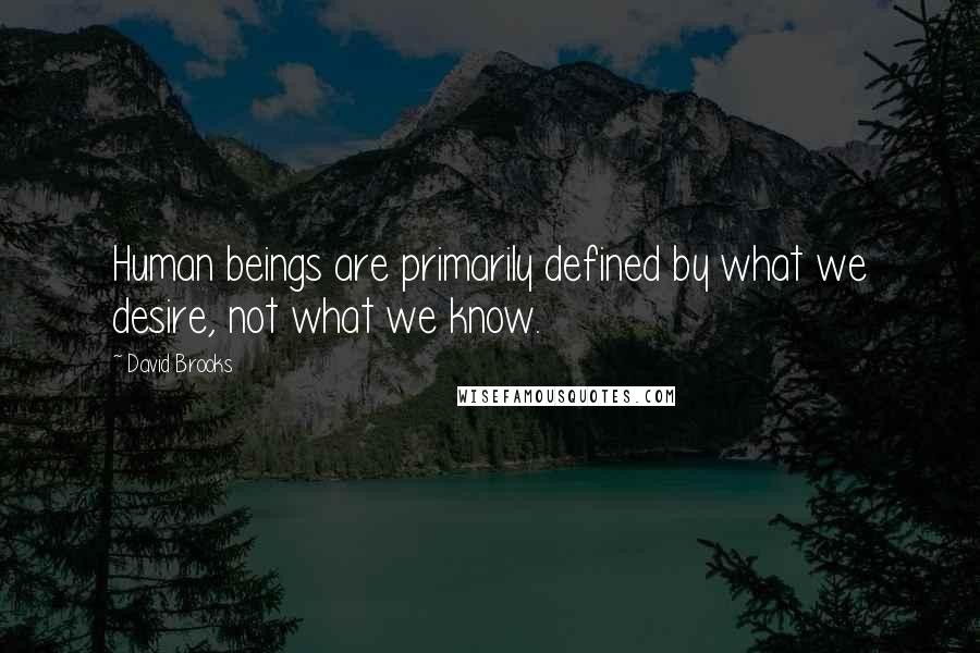 David Brooks Quotes: Human beings are primarily defined by what we desire, not what we know.