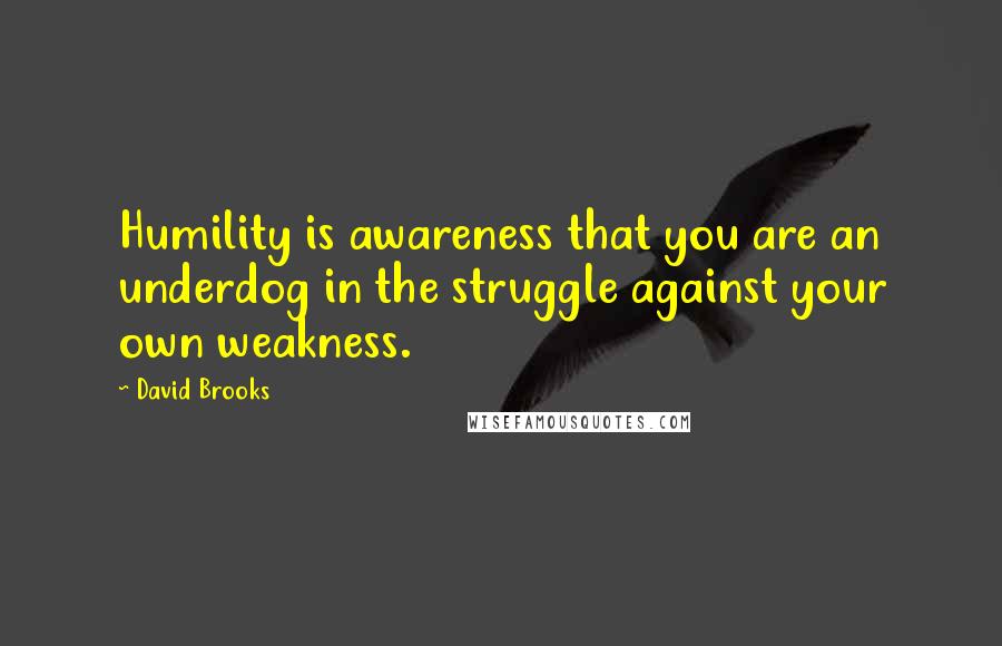 David Brooks Quotes: Humility is awareness that you are an underdog in the struggle against your own weakness.