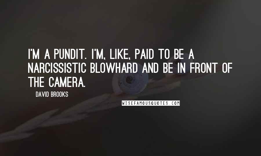 David Brooks Quotes: I'm a pundit. I'm, like, paid to be a narcissistic blowhard and be in front of the camera.