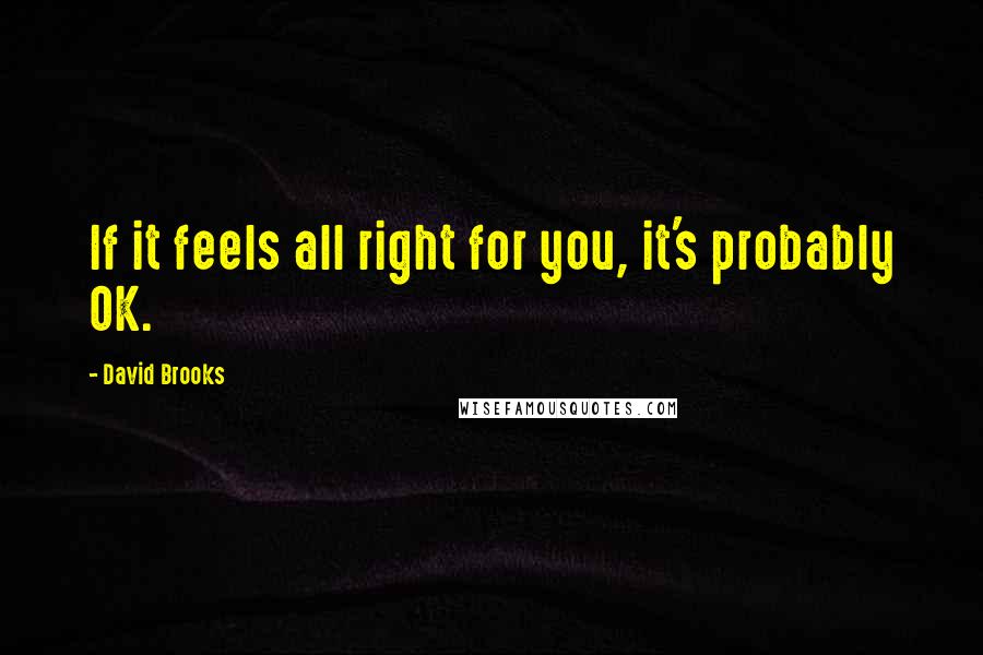 David Brooks Quotes: If it feels all right for you, it's probably OK.