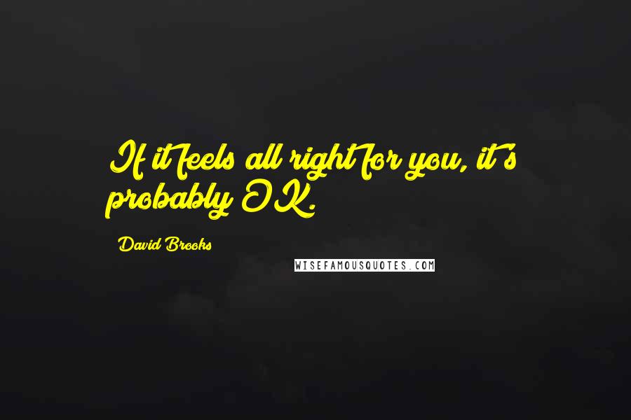 David Brooks Quotes: If it feels all right for you, it's probably OK.