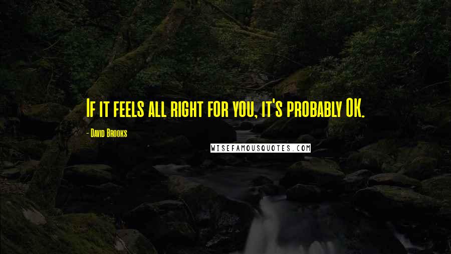 David Brooks Quotes: If it feels all right for you, it's probably OK.