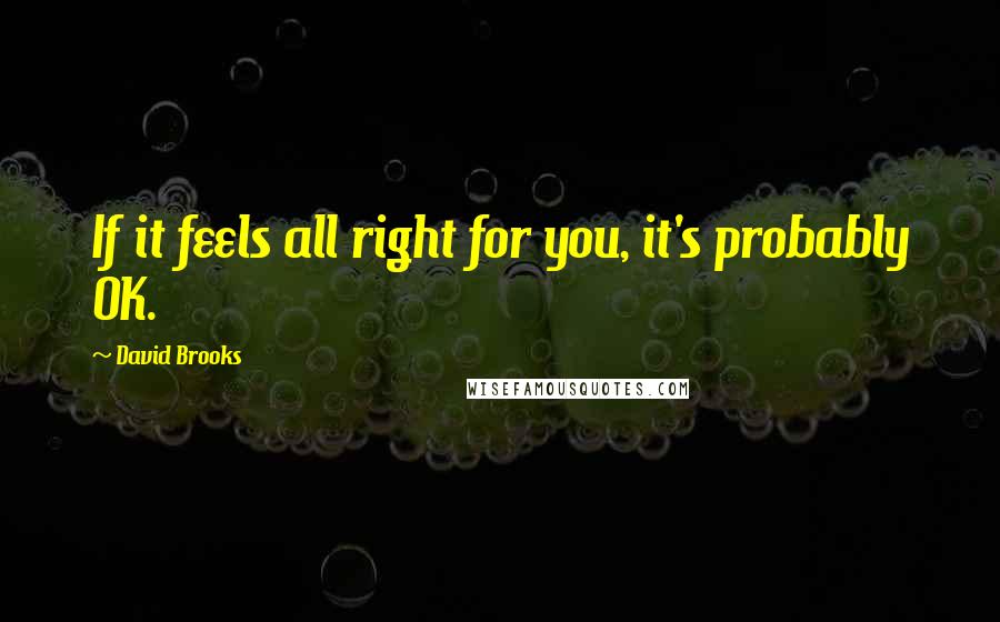 David Brooks Quotes: If it feels all right for you, it's probably OK.