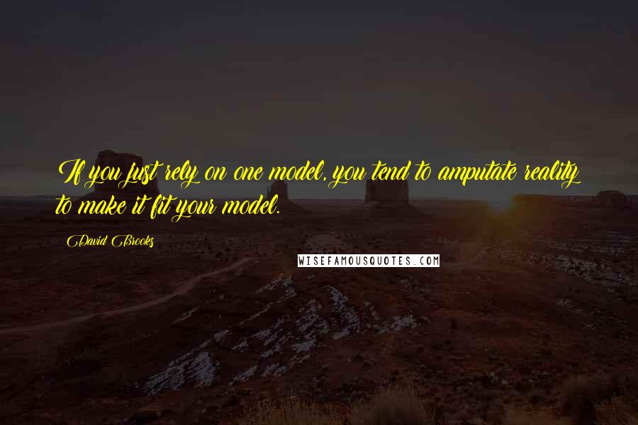 David Brooks Quotes: If you just rely on one model, you tend to amputate reality to make it fit your model.
