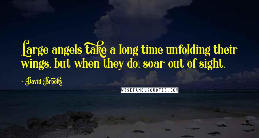 David Brooks Quotes: Large angels take a long time unfolding their wings, but when they do, soar out of sight.