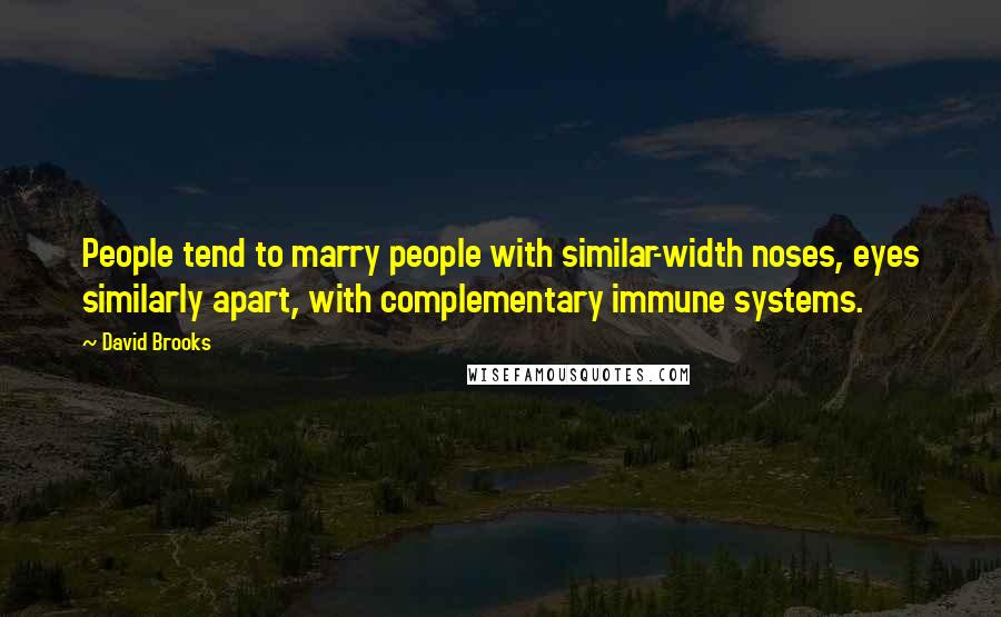 David Brooks Quotes: People tend to marry people with similar-width noses, eyes similarly apart, with complementary immune systems.