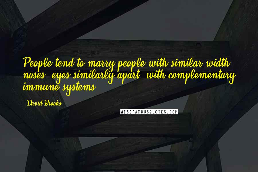 David Brooks Quotes: People tend to marry people with similar-width noses, eyes similarly apart, with complementary immune systems.