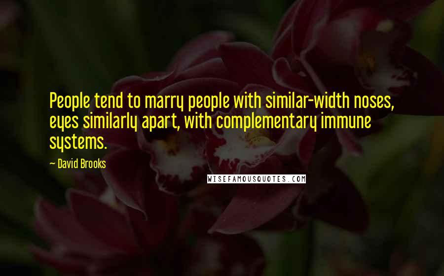 David Brooks Quotes: People tend to marry people with similar-width noses, eyes similarly apart, with complementary immune systems.