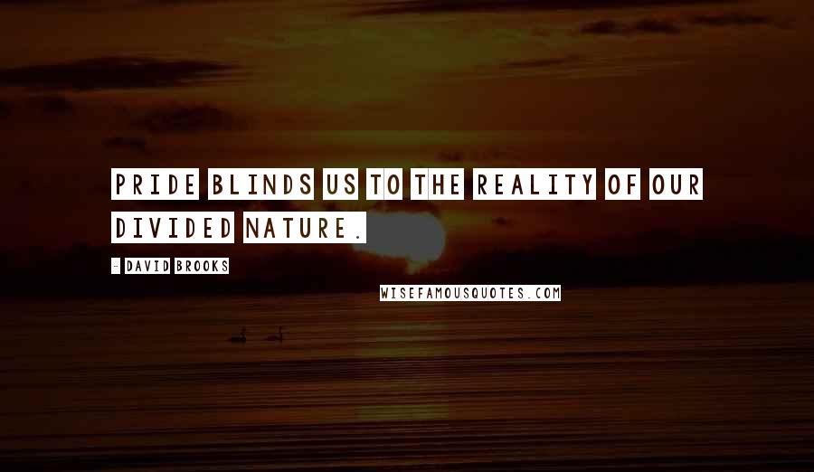David Brooks Quotes: Pride blinds us to the reality of our divided nature.
