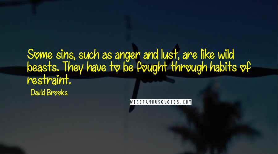 David Brooks Quotes: Some sins, such as anger and lust, are like wild beasts. They have to be fought through habits of restraint.