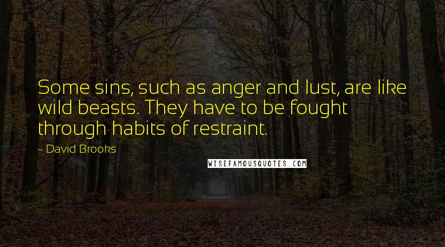 David Brooks Quotes: Some sins, such as anger and lust, are like wild beasts. They have to be fought through habits of restraint.