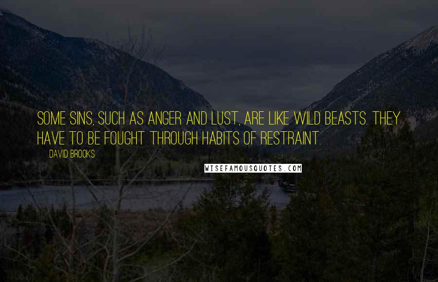 David Brooks Quotes: Some sins, such as anger and lust, are like wild beasts. They have to be fought through habits of restraint.