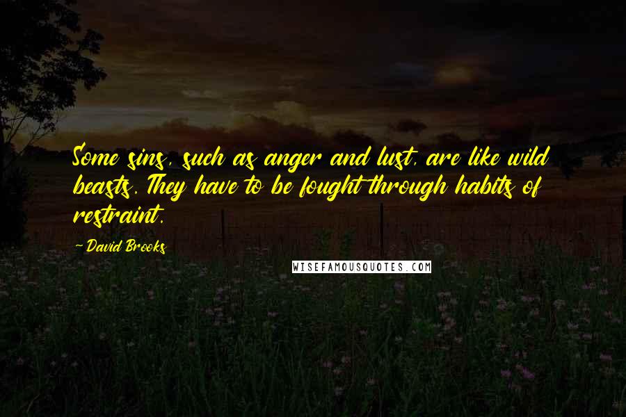 David Brooks Quotes: Some sins, such as anger and lust, are like wild beasts. They have to be fought through habits of restraint.