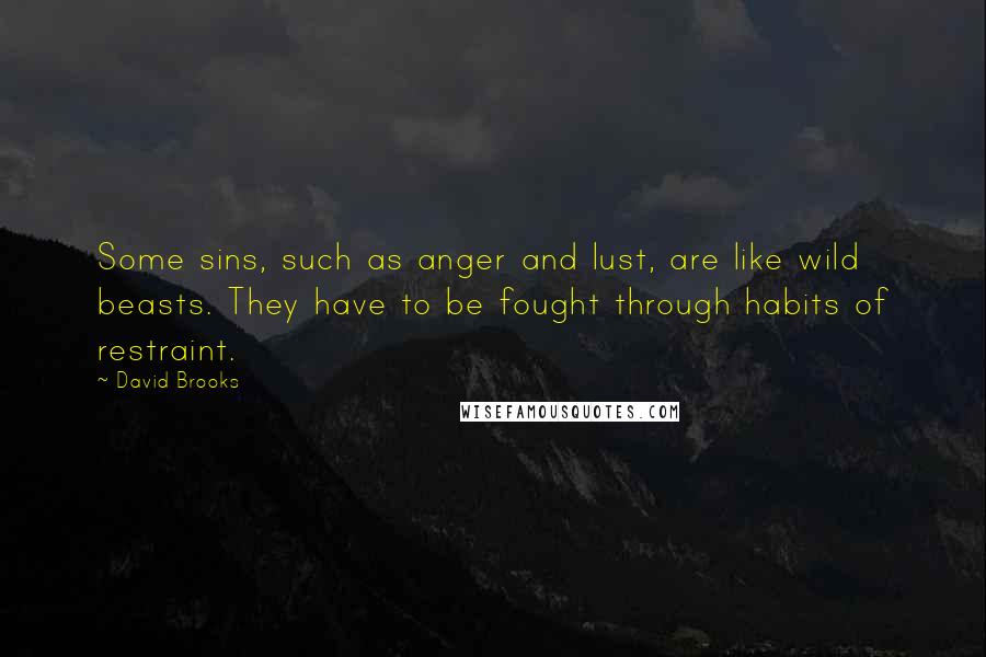 David Brooks Quotes: Some sins, such as anger and lust, are like wild beasts. They have to be fought through habits of restraint.