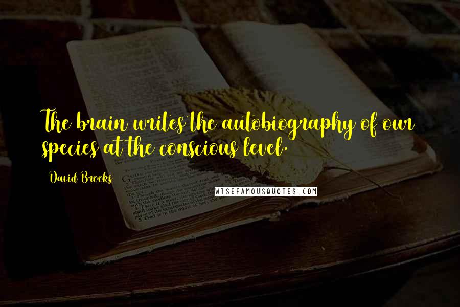 David Brooks Quotes: The brain writes the autobiography of our species at the conscious level.