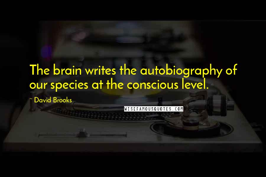 David Brooks Quotes: The brain writes the autobiography of our species at the conscious level.