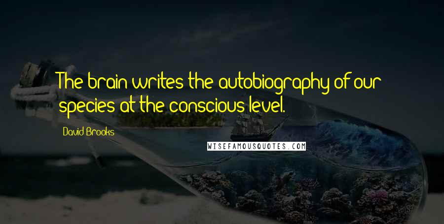 David Brooks Quotes: The brain writes the autobiography of our species at the conscious level.