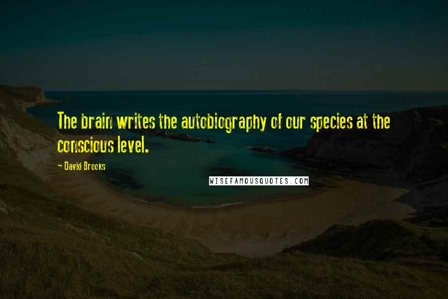 David Brooks Quotes: The brain writes the autobiography of our species at the conscious level.