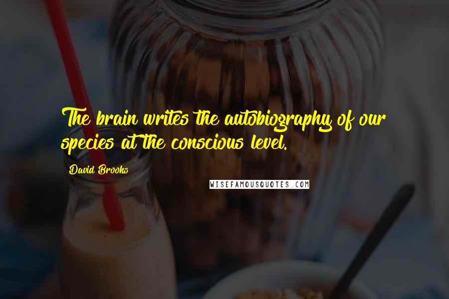 David Brooks Quotes: The brain writes the autobiography of our species at the conscious level.