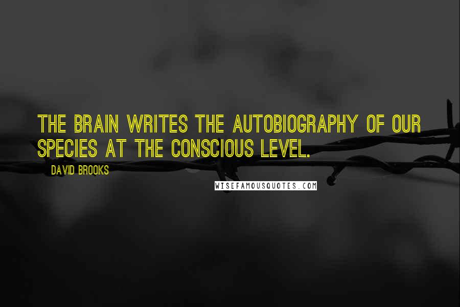 David Brooks Quotes: The brain writes the autobiography of our species at the conscious level.