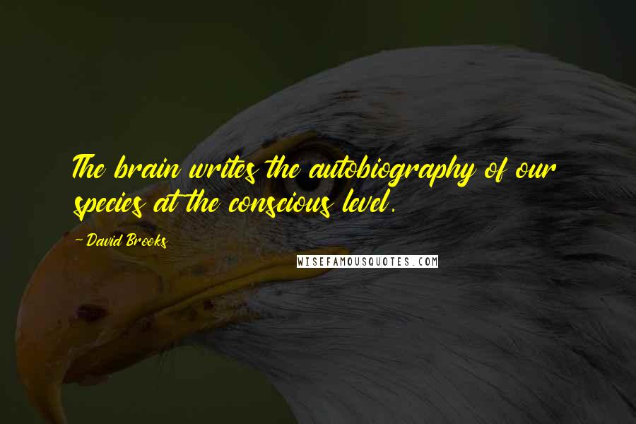 David Brooks Quotes: The brain writes the autobiography of our species at the conscious level.