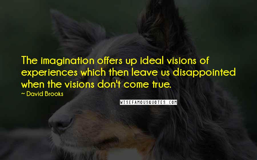 David Brooks Quotes: The imagination offers up ideal visions of experiences which then leave us disappointed when the visions don't come true.