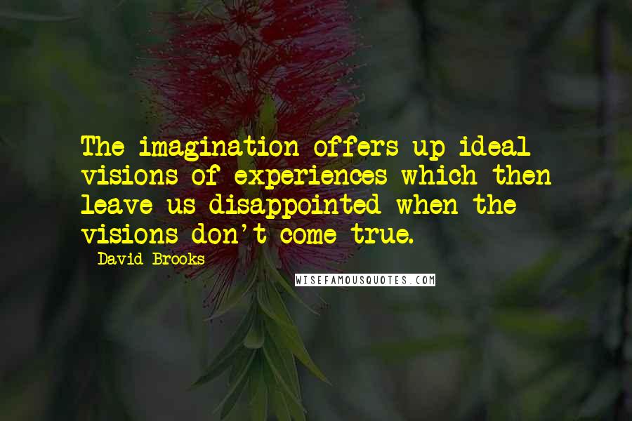 David Brooks Quotes: The imagination offers up ideal visions of experiences which then leave us disappointed when the visions don't come true.