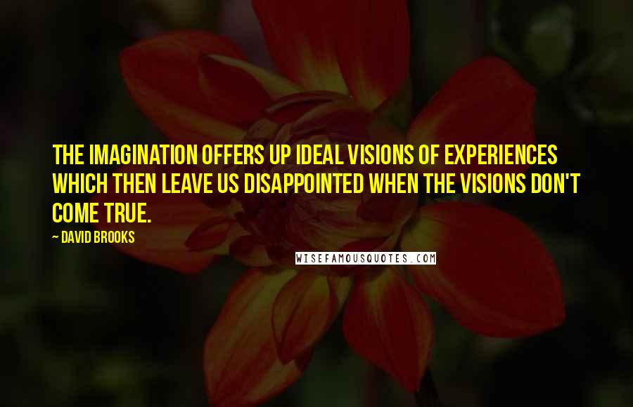 David Brooks Quotes: The imagination offers up ideal visions of experiences which then leave us disappointed when the visions don't come true.