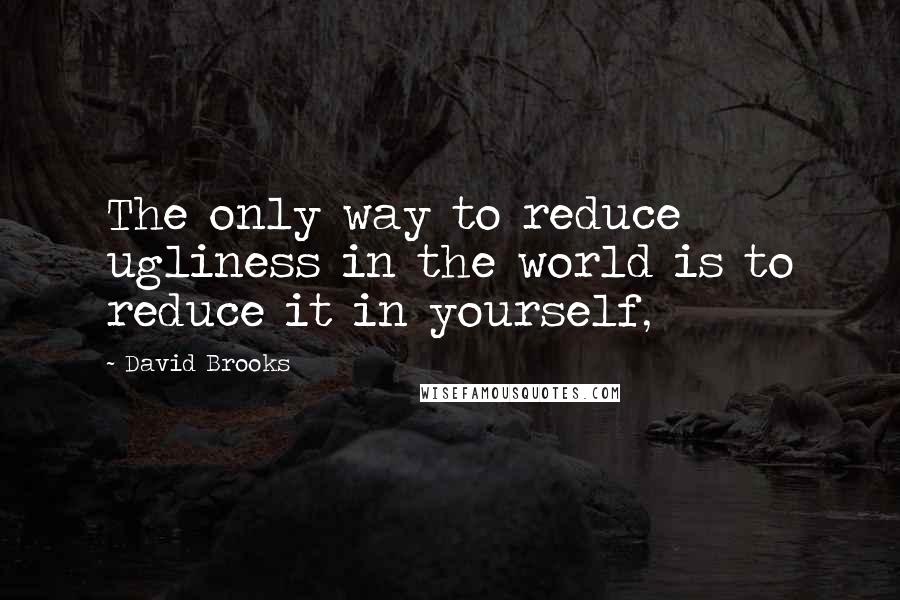 David Brooks Quotes: The only way to reduce ugliness in the world is to reduce it in yourself,