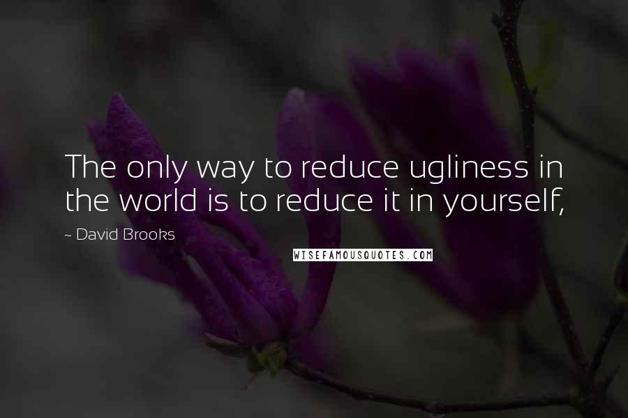 David Brooks Quotes: The only way to reduce ugliness in the world is to reduce it in yourself,