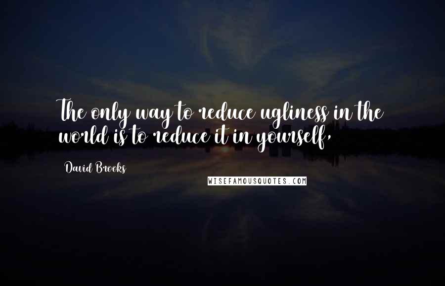 David Brooks Quotes: The only way to reduce ugliness in the world is to reduce it in yourself,