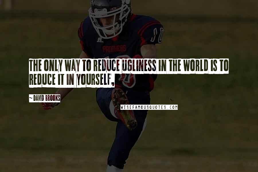 David Brooks Quotes: The only way to reduce ugliness in the world is to reduce it in yourself,