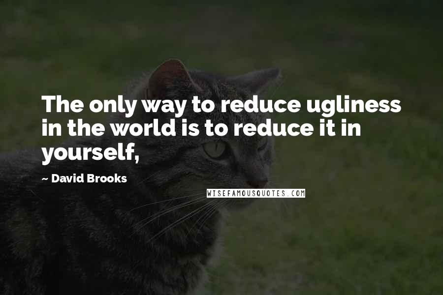 David Brooks Quotes: The only way to reduce ugliness in the world is to reduce it in yourself,