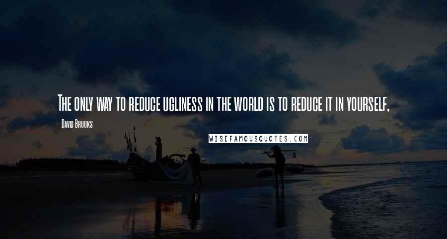 David Brooks Quotes: The only way to reduce ugliness in the world is to reduce it in yourself,