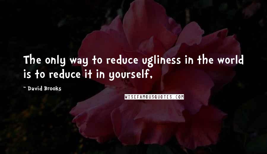 David Brooks Quotes: The only way to reduce ugliness in the world is to reduce it in yourself,