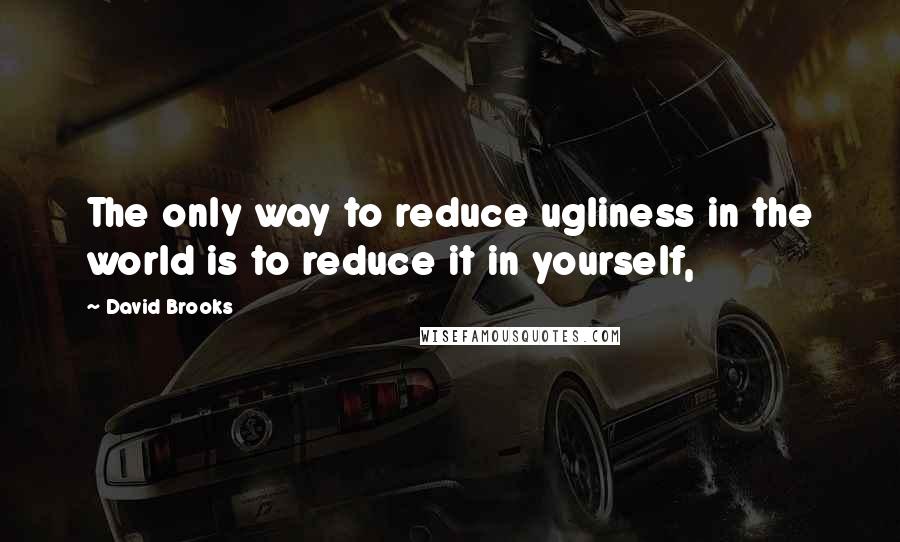 David Brooks Quotes: The only way to reduce ugliness in the world is to reduce it in yourself,