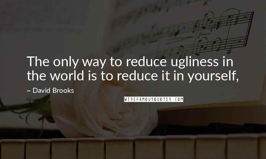 David Brooks Quotes: The only way to reduce ugliness in the world is to reduce it in yourself,