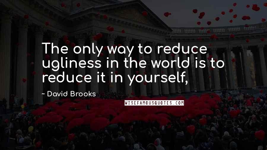 David Brooks Quotes: The only way to reduce ugliness in the world is to reduce it in yourself,