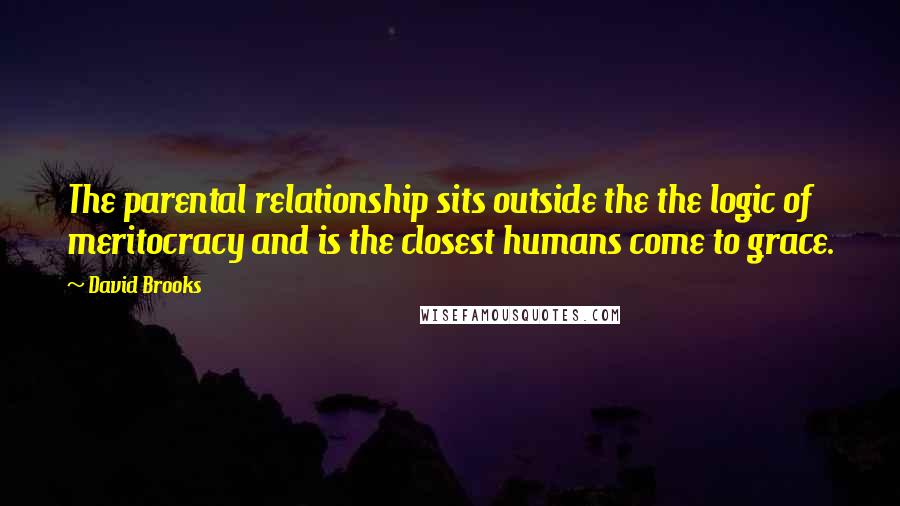 David Brooks Quotes: The parental relationship sits outside the the logic of meritocracy and is the closest humans come to grace.