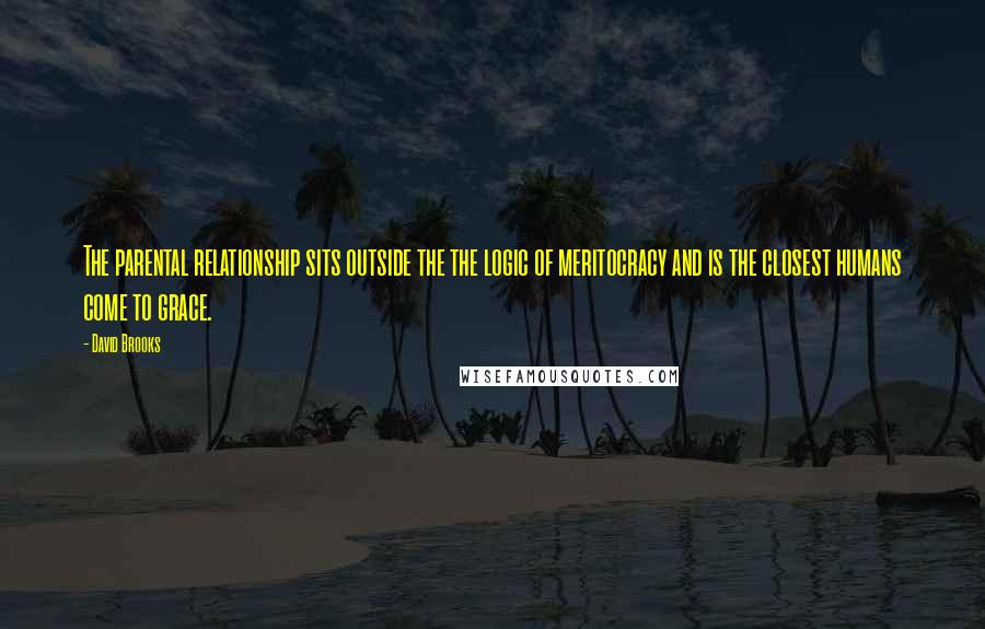 David Brooks Quotes: The parental relationship sits outside the the logic of meritocracy and is the closest humans come to grace.