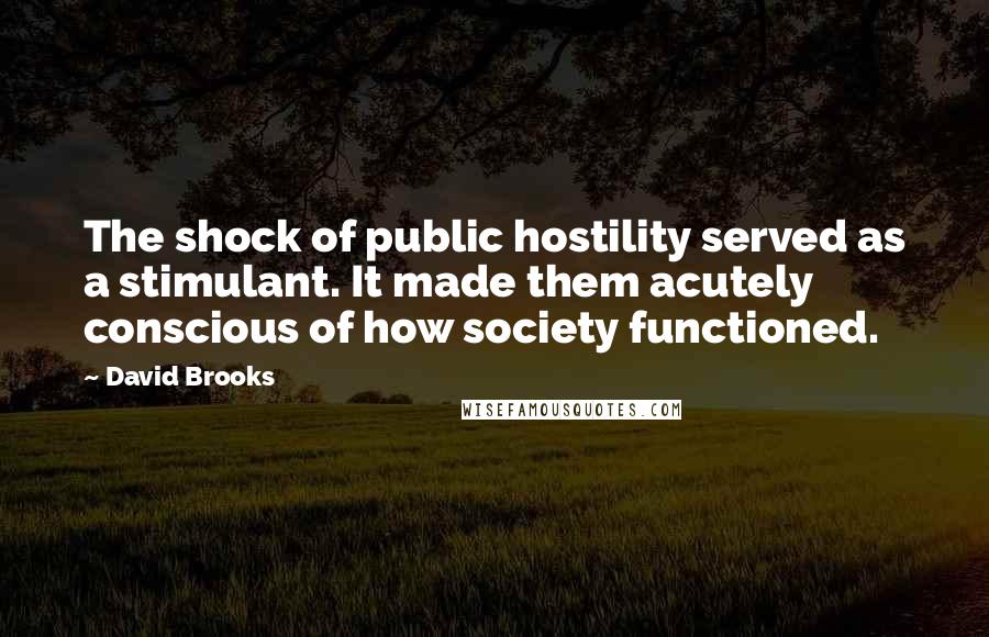 David Brooks Quotes: The shock of public hostility served as a stimulant. It made them acutely conscious of how society functioned.