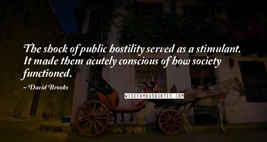 David Brooks Quotes: The shock of public hostility served as a stimulant. It made them acutely conscious of how society functioned.