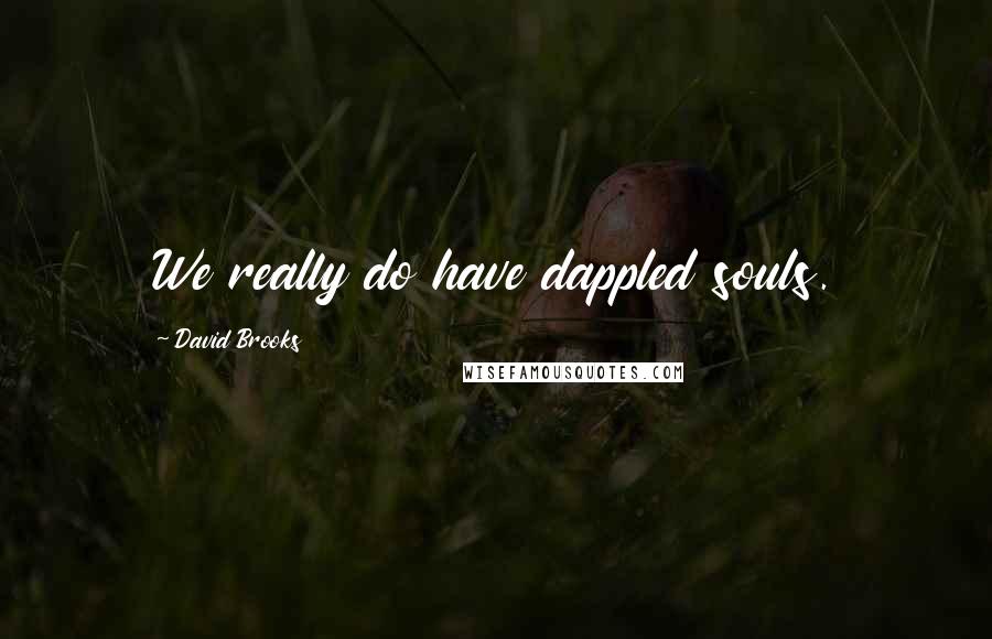 David Brooks Quotes: We really do have dappled souls.