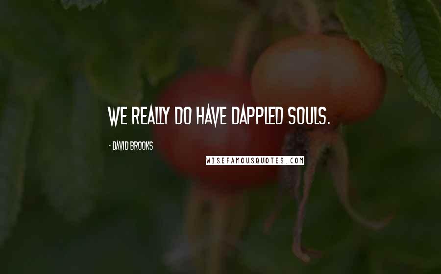 David Brooks Quotes: We really do have dappled souls.