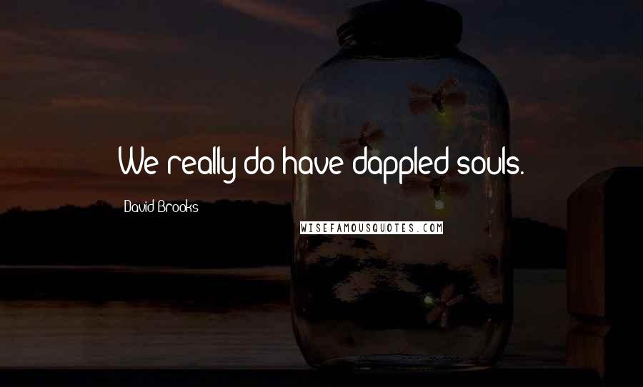 David Brooks Quotes: We really do have dappled souls.