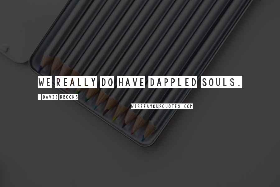 David Brooks Quotes: We really do have dappled souls.