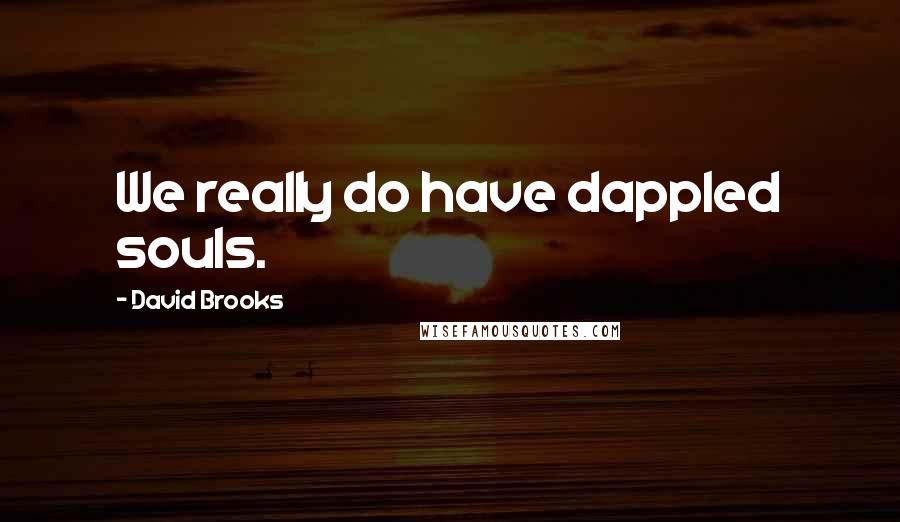 David Brooks Quotes: We really do have dappled souls.